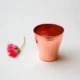Copper Hammered Tumbler