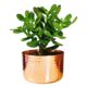Decorative Copper Flower Pot