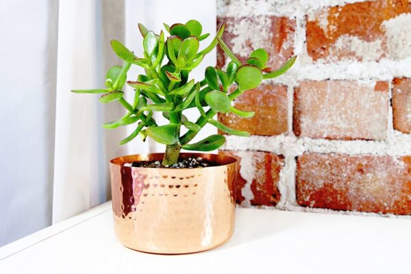 Decorative Copper Flower Pot