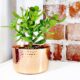Decorative Copper Flower Pot