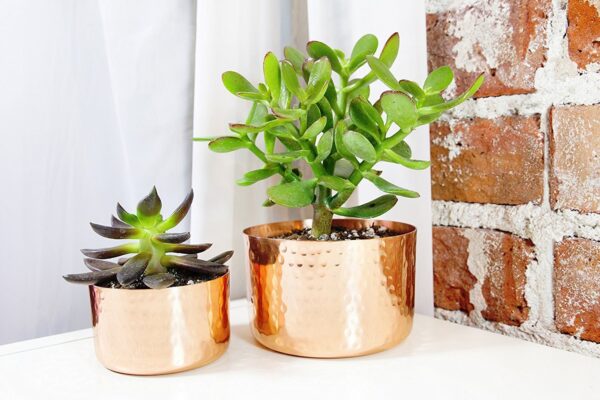 Decorative Copper Flower Pot