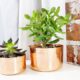Decorative Copper Flower Pot