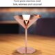 Copper Plated Stainless Steel Martini Glasses