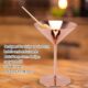 Copper Plated Stainless Steel Martini Glasses