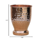 Hammered Copper Tumbler