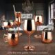 81H0rPbgy+S._AC_SL1500_ Copper Plated Stainless Steel Wine Glasses