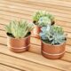 Hammered Decorative Copper Flower Pot
