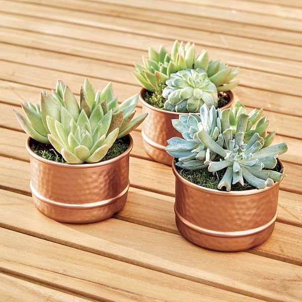 Hammered Decorative Copper Flower Pot