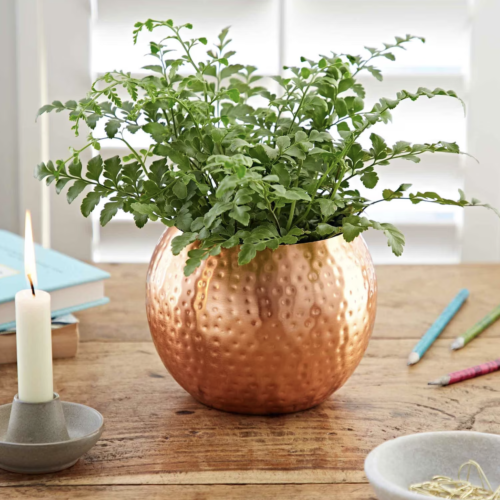 Hammered Decorative Copper Flower Pot