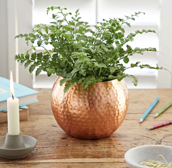 Hammered Decorative Copper Flower Pot