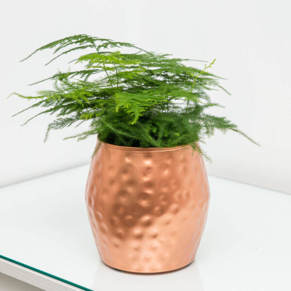 Hammered Decorative Copper Flower Pot