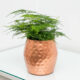 Hammered Decorative Copper Flower Pot