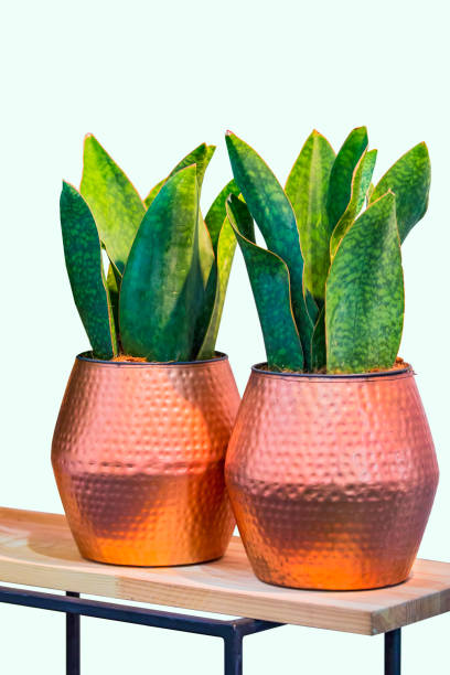 Hammered Decorative Copper Flower Pot