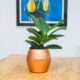 Hammered Decorative Copper Flower Pot