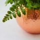 Hammered Decorative Copper Flower Pot